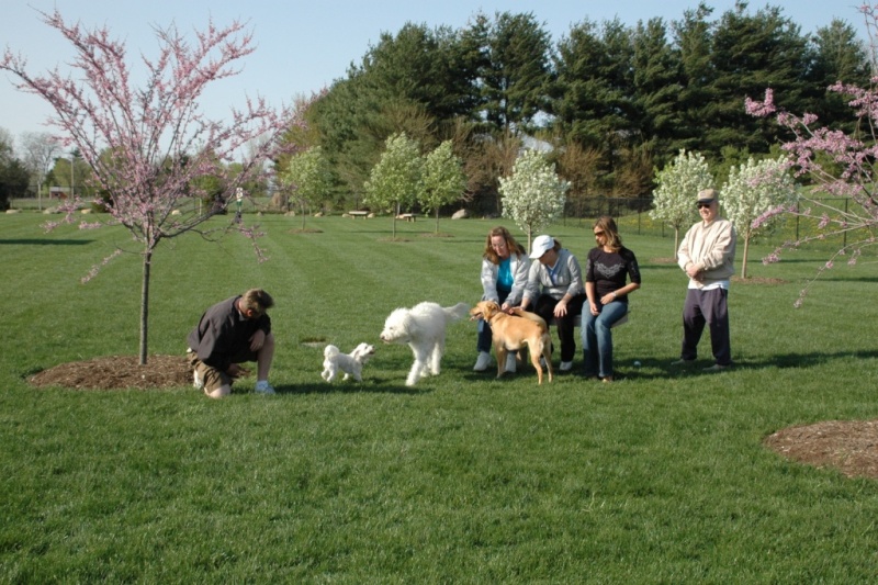 A Dog Boarding Kennel with a Difference: Overnight Visits, Extended Stays, Daycare, Private Bark Park and&nbsp;More