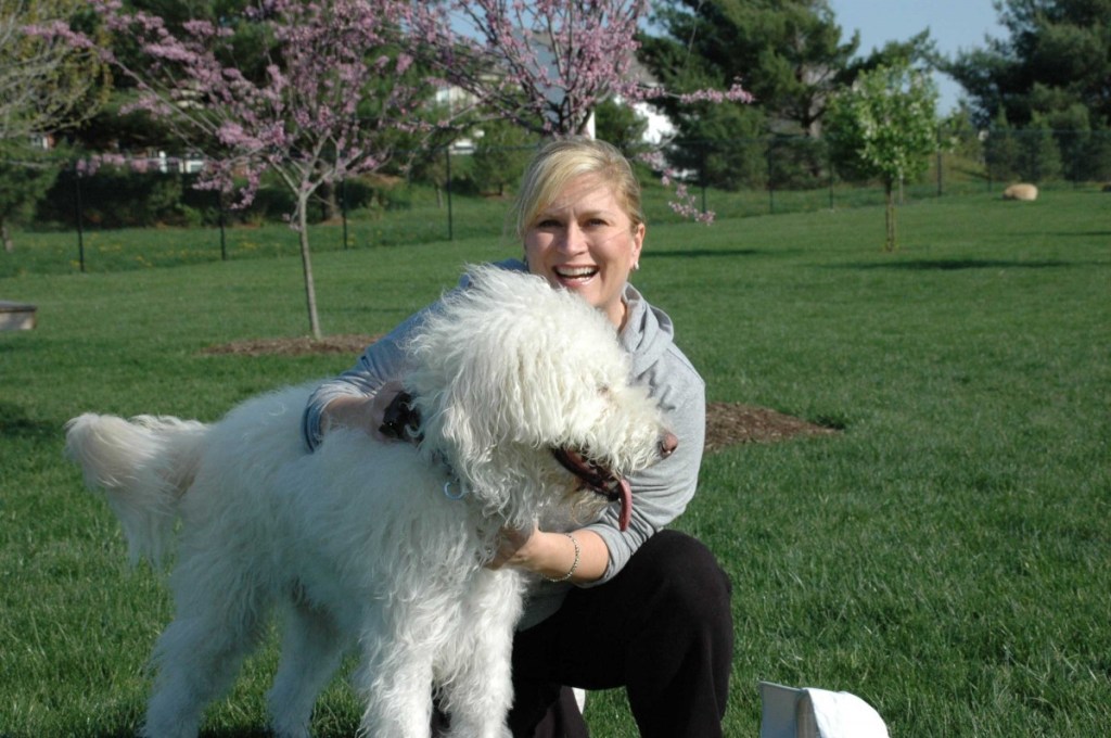 Bark Park Play Session Package: Add Some Fun to Your Dog’s Stay at Beverly’s Precious Pet&nbsp;Campus