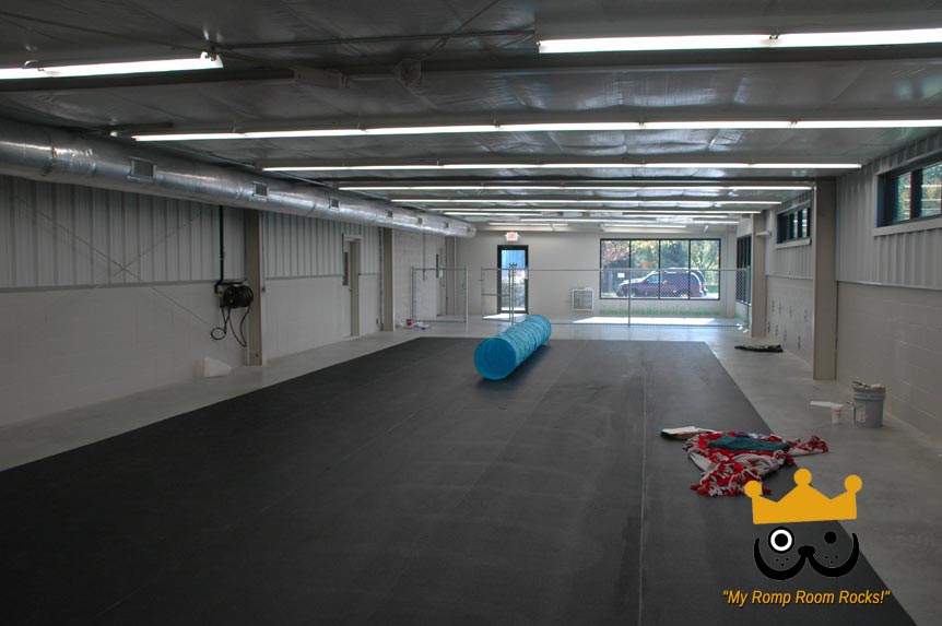 Dog Daycare Romp Room Interior