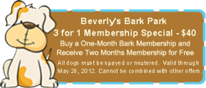 3 for 1 Bark Park Membership