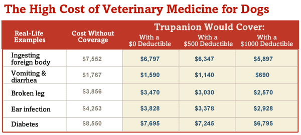 Veterinary Medicine Cost Comparison Chart