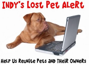 Indy Lost Pet Alert on Facebook (opens in new window) Indy Lost Pet Alert on Facebook