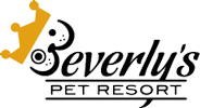 Beverly's Pet Resort Blog
