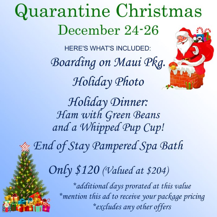 Quarantine Christmas December 24-26