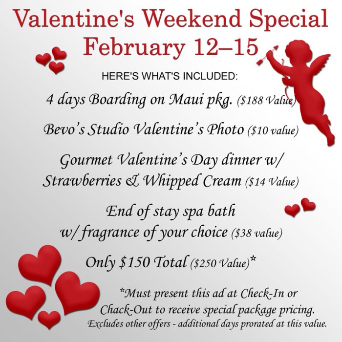 Valentine's Weekend Boarding Special Package – February 12-15, 2021
