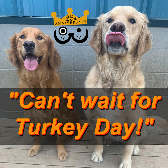 Talking Turkey at Beverly’s Pet Resort in Fishers – Holiday Season&nbsp;2021