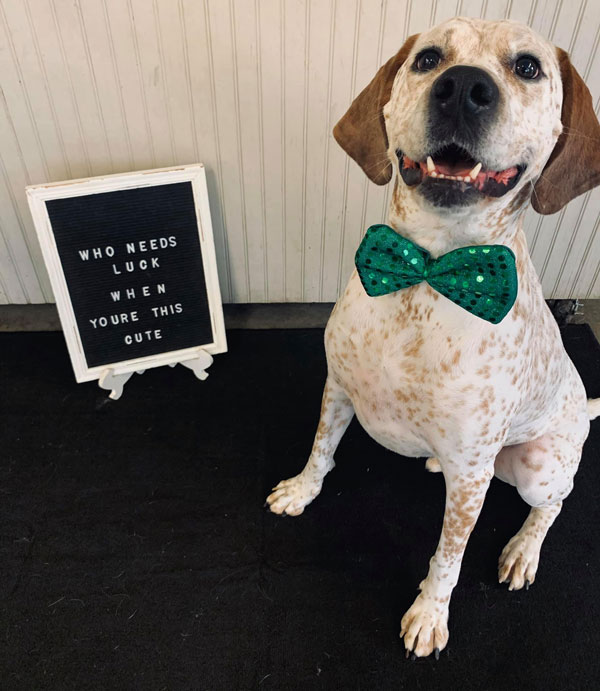 Who Needs Luck When You're This Cute?