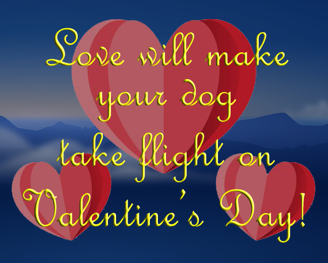 Don’t Forget Your Furry&nbsp;Valentine!