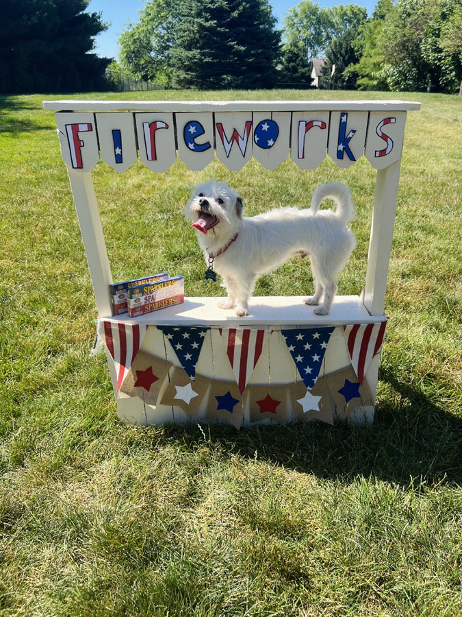 Fireworks Stand at Beverly's Pet Resort Independence Day 2022 Photoshoot