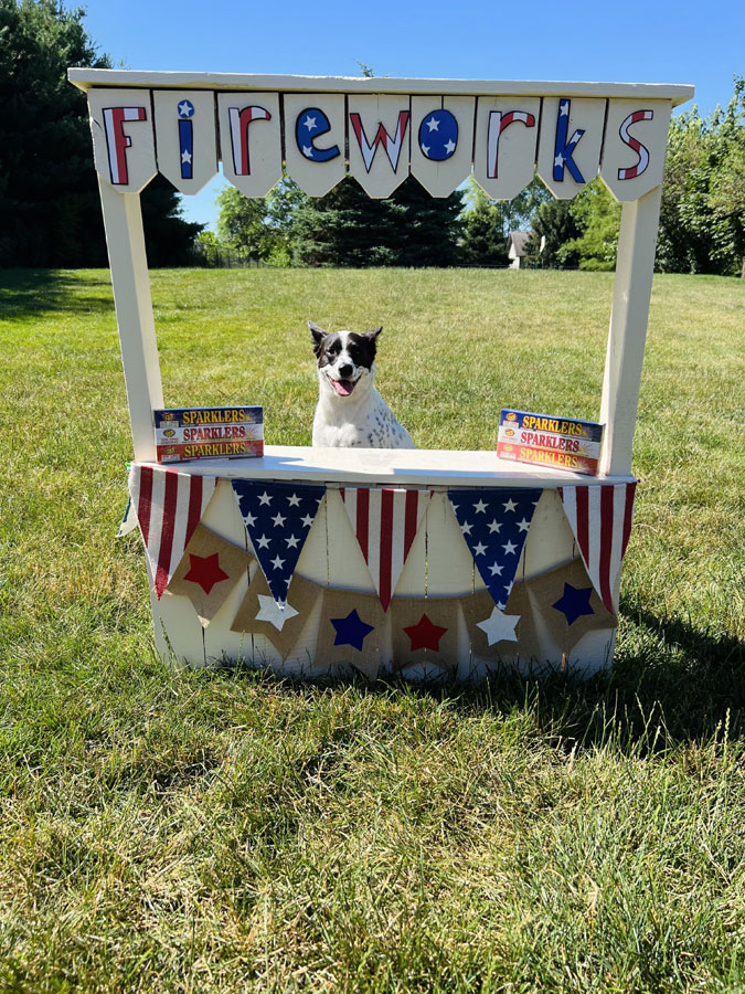 Fireworks Stand at Beverly's Pet Resort Independence Day 2022 Photoshoot