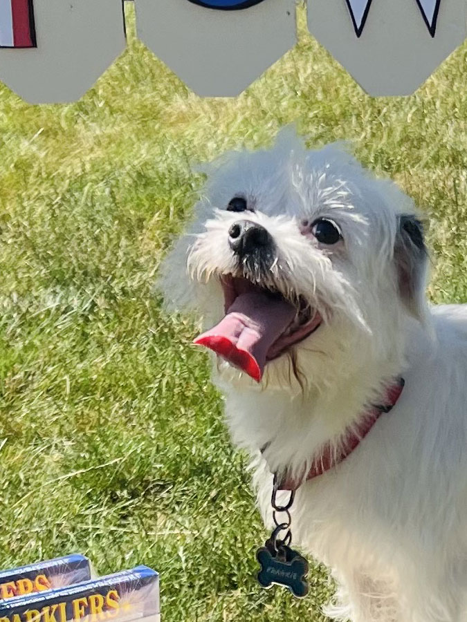 Close-up of Fireworks Stand at Beverly's Pet Resort Independence Day 2022 Photoshoot