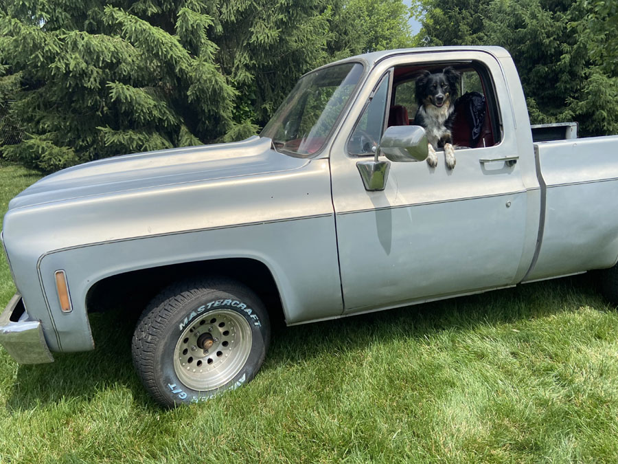 Classic Pickup Truck at Beverly's Pet Resort Fathers' Day 2022 Photoshoot