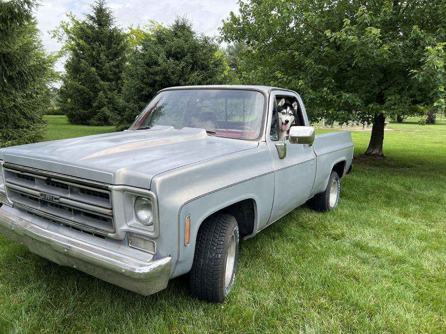Classic Pickup Truck at Beverly's Pet Resort Fathers' Day 2022 Photoshoot