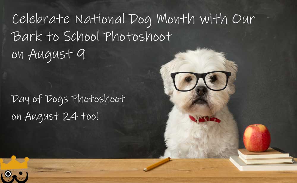 August is National Dog&nbsp;Month