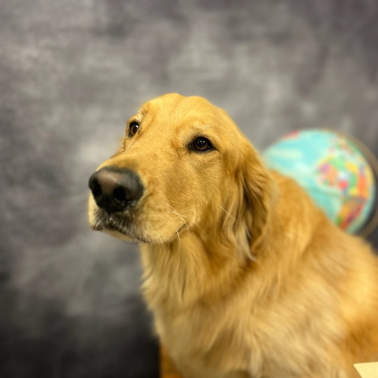 Bark to School Photoshoot 2023 at Beverly's Pet Resort