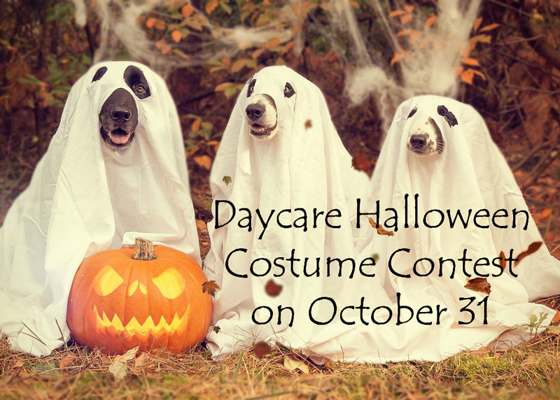 Daycare Halloween Costume Contest on October&nbsp;31