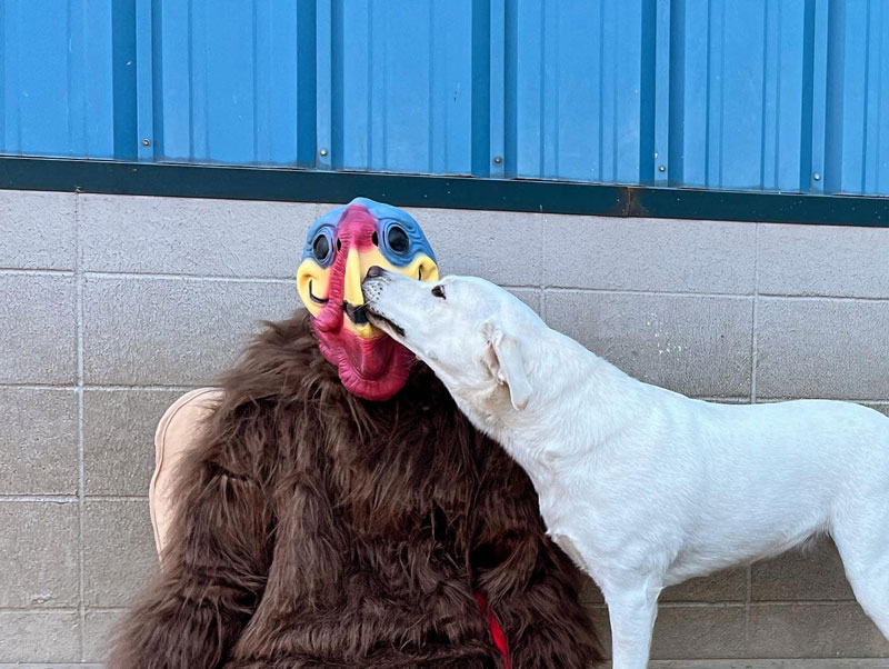 Thanksgiving Turkey 2023 at Beverly's