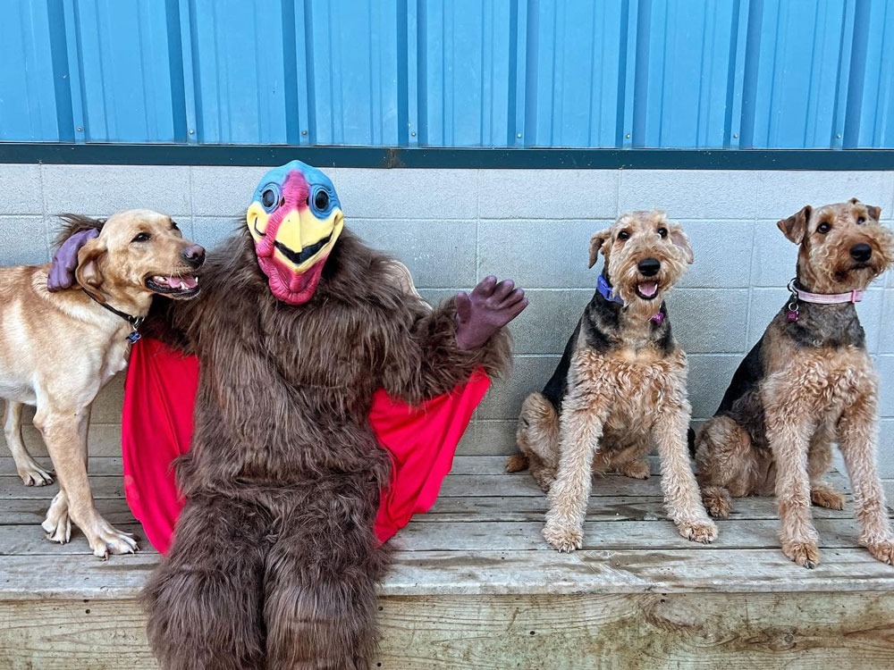 Thanksgiving Turkey 2023 at Beverly's