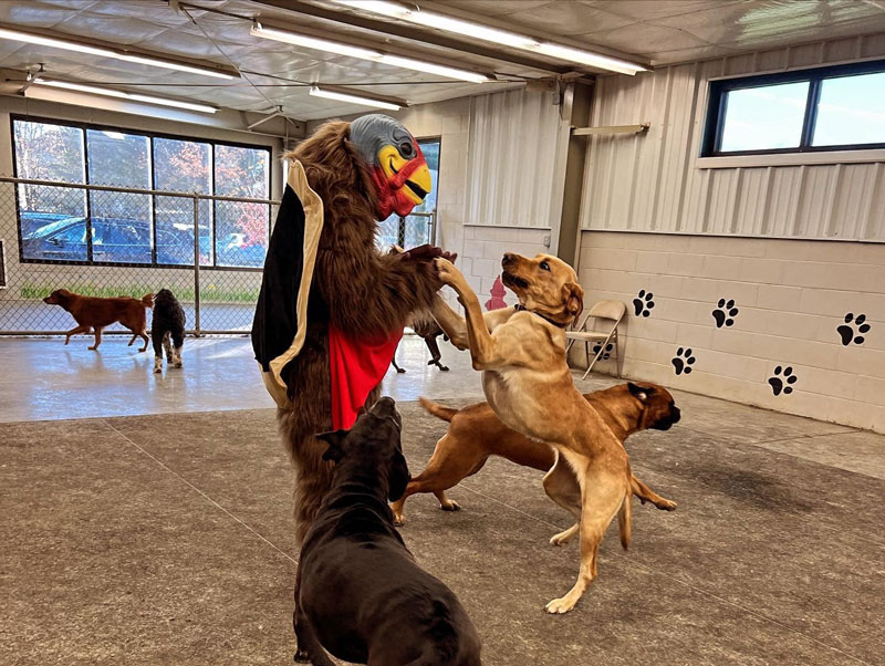 Thanksgiving Turkey 2023 at Beverly's