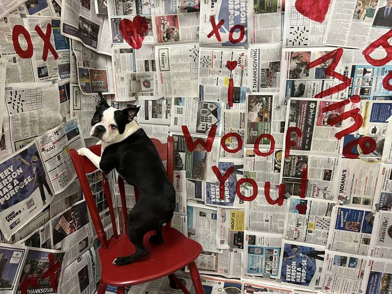 Puppy Love Photoshoot - Valentine's Day 2024 - Beverly's Pet Resort