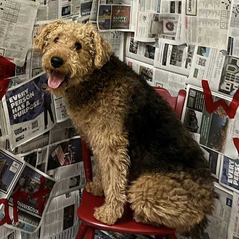 Puppy Love Photoshoot - Valentine's Day 2024 - Beverly's Pet Resort