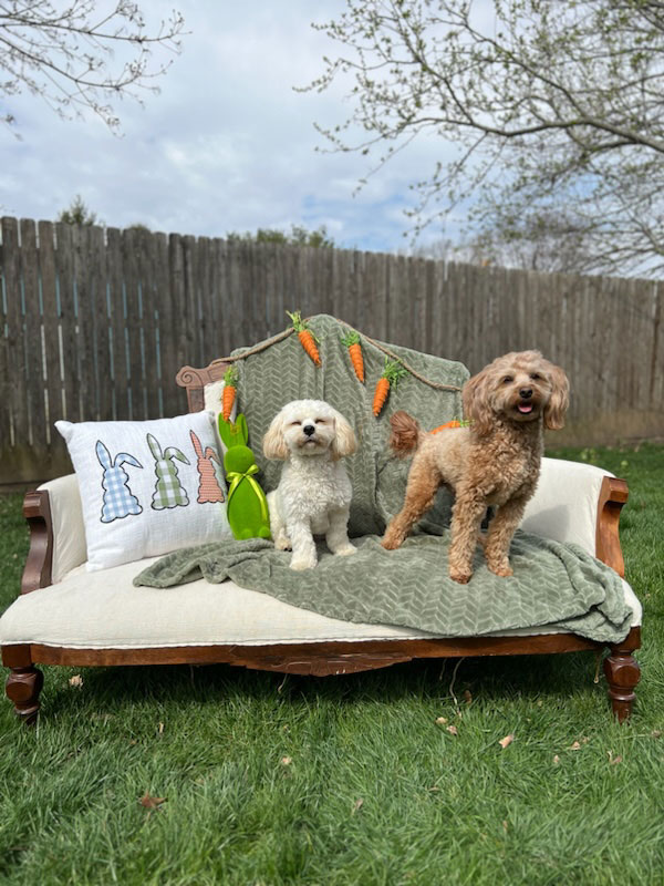 Easter Photoshoot 2024 at Beverly's Pet Resort