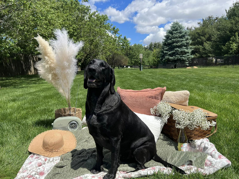 Mother's Day 2024 Photoshoot at Beverly's Pet Resort