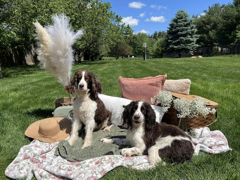 Mother's Day 2024 Photoshoot at Beverly's Pet Resort