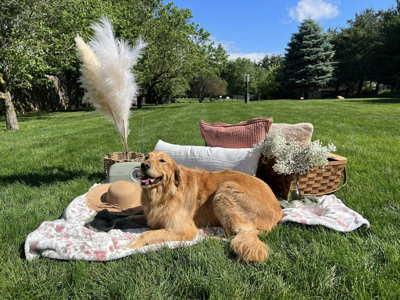 Mother's Day 2024 Photoshoot at Beverly's Pet Resort