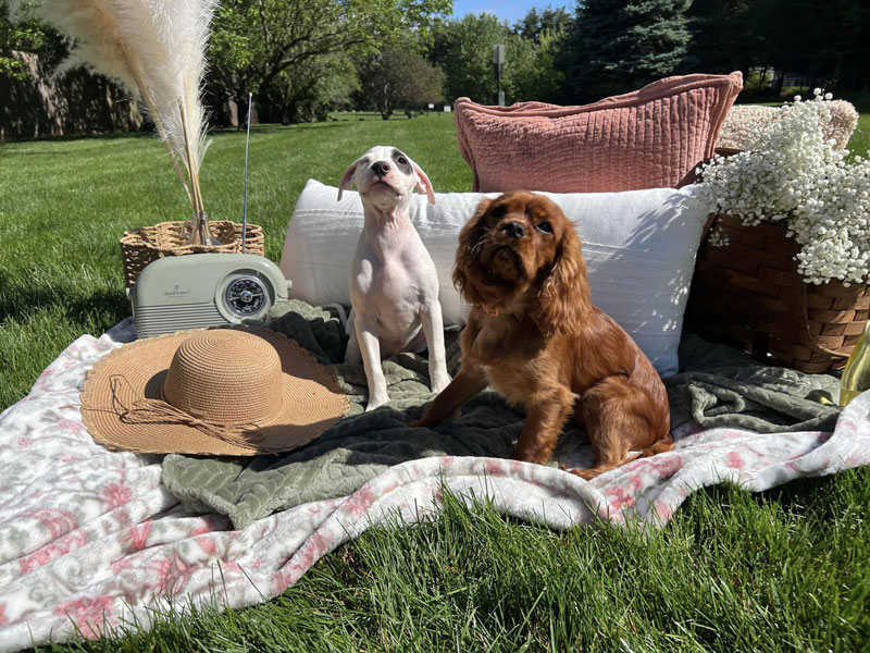 Mother's Day 2024 Photoshoot at Beverly's Pet Resort