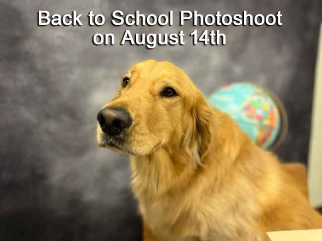 Back to School Photoshoot on August 14th
