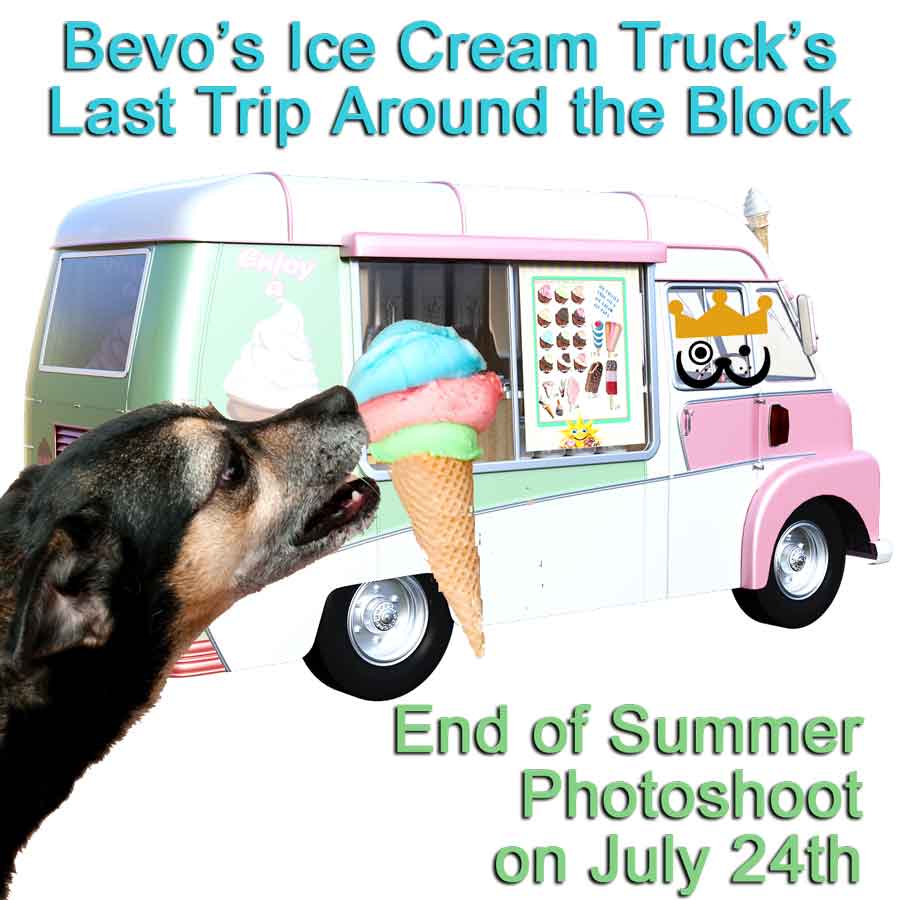 Cool Stuff at Beverly’s During the Hot Summer of&nbsp;’24