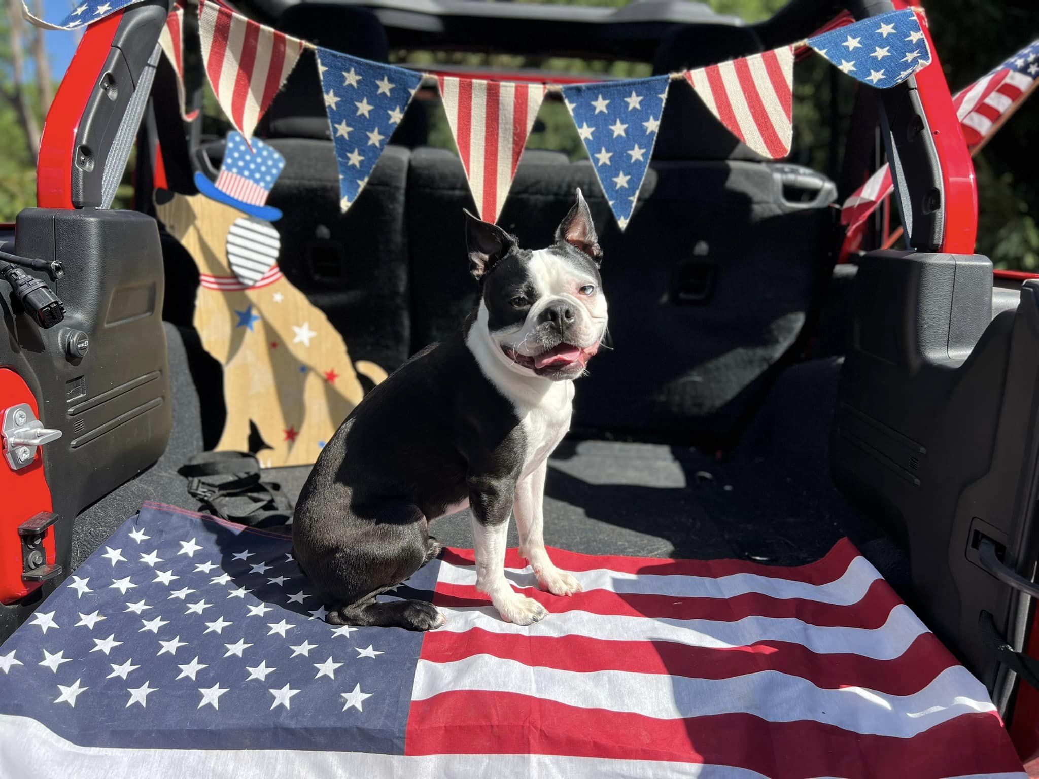 Independence Day Celebration at Beverly's - Photoshoot July 2024