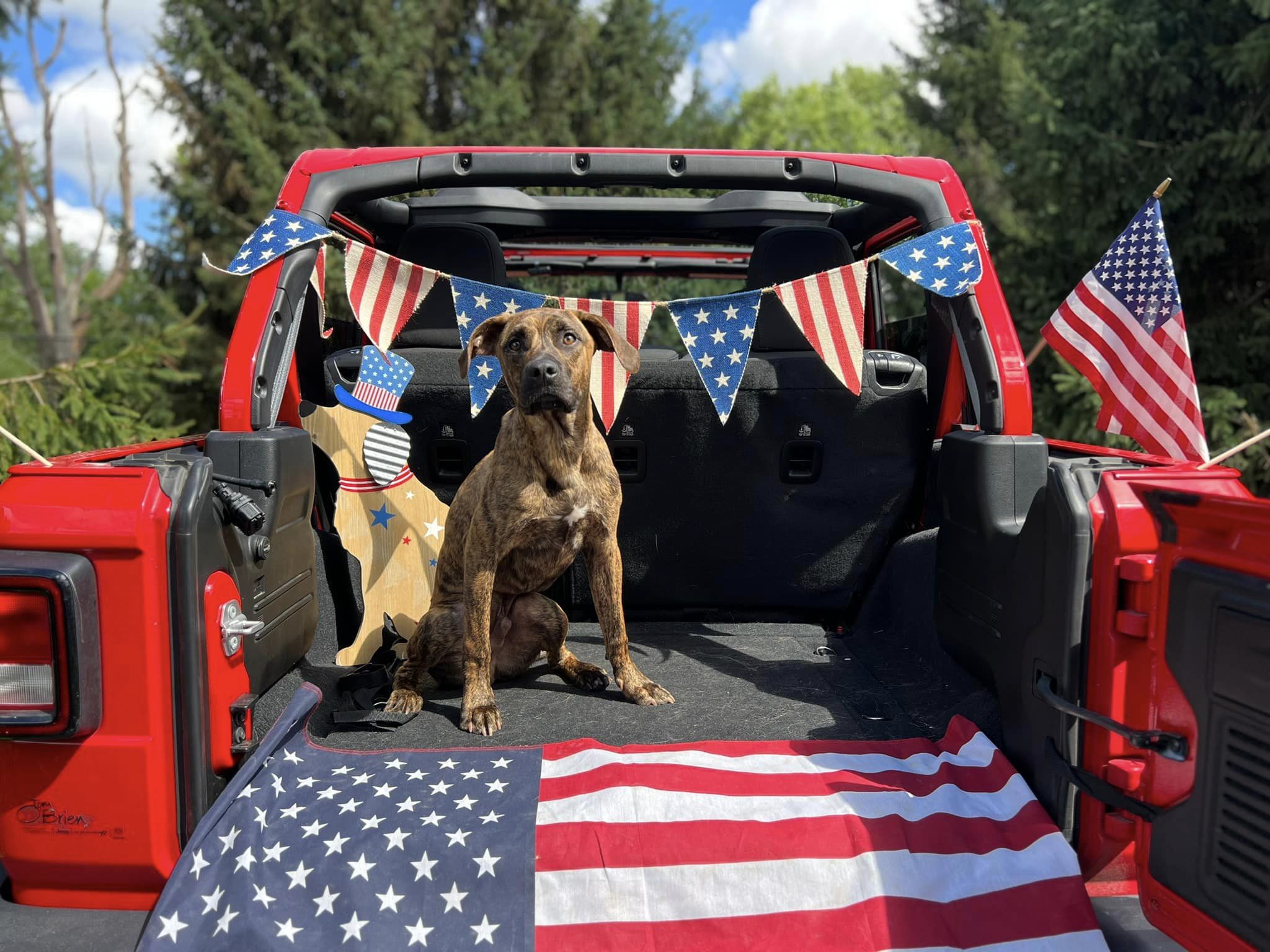 Independence Day Celebration at Beverly's - Photoshoot July 2024