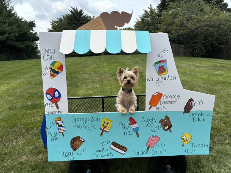 Bevo’s Ice Cream Truck’s Last Trip Around the Block Photoshoot at Beverly's Pet Resort