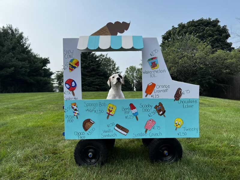 Bevo’s Ice Cream Truck’s Last Trip Around the Block Photoshoot at Beverly's Pet Resort