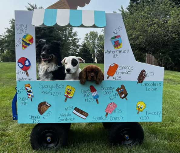 Bevo’s Ice Cream Truck’s Last Trip Around the Block Photoshoot at Beverly's Pet Resort