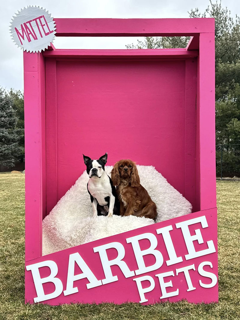 Valentine’s Day 2025 Photoshoot at Beverly's Pet Resort