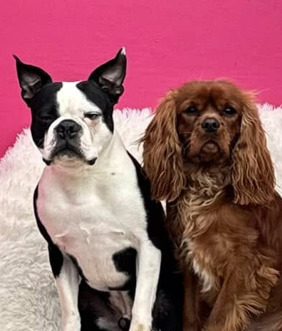 Valentine’s Day 2025 Photoshoot at Beverly's Pet Resort