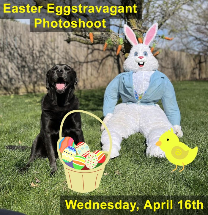 Easter Eggstravagant Photoshoot April 16, 2025 at Beverly's Pet Resort in Fishers