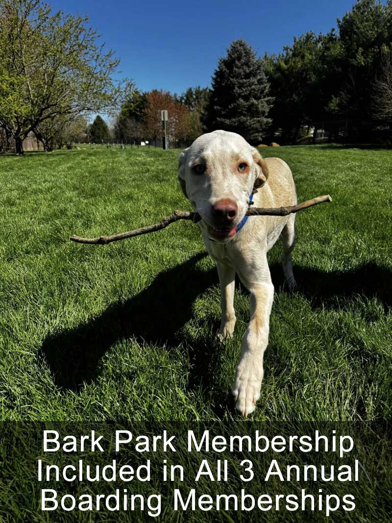 Bark Park Membership Included in All 3 Annual Boarding Memberships