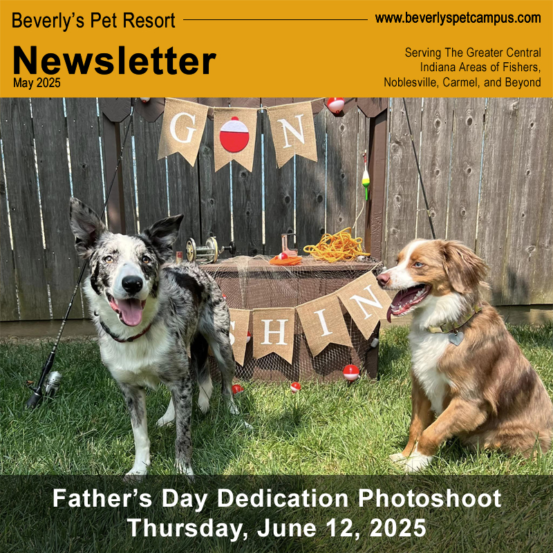 Father’s Day Dedication Photoshoot is Thursday, June&nbsp;12