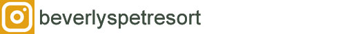 Instagram: beverlyspetresort