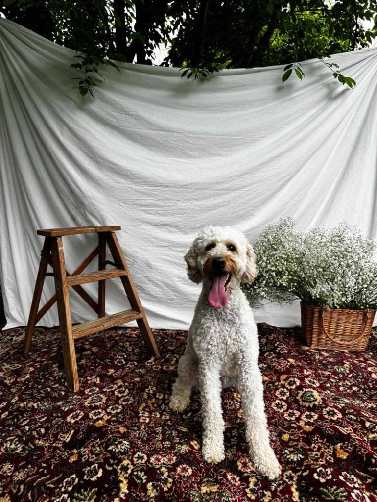 May 2025 Photoshoot Celebrating All Moms