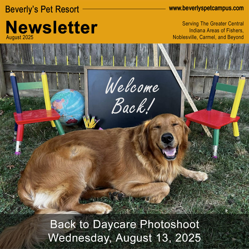 Back to Daycare Photoshoot for Pups is Wednesday, August 13 at Beverly’s Pet Resort in&nbsp;Fishers