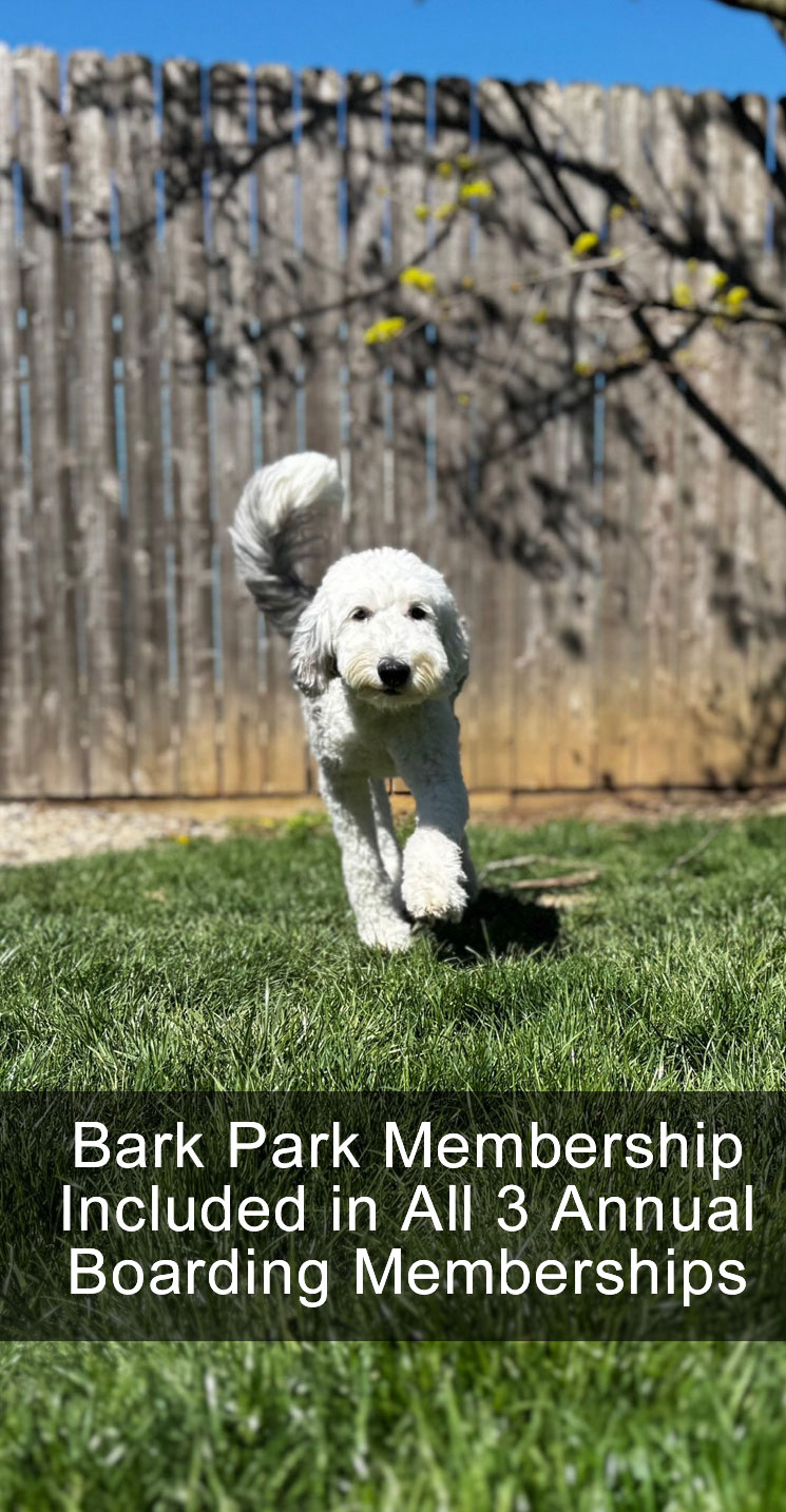 Bark Park Included in All 3 Annual Boarding Memberships