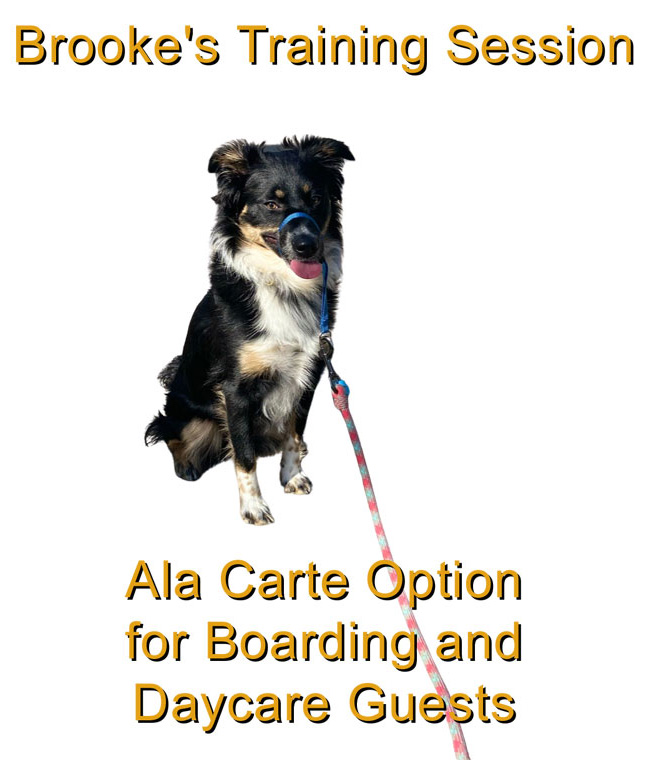 Brooke's Training Session - Ala Carte Option for Boarding and Daycare Guests