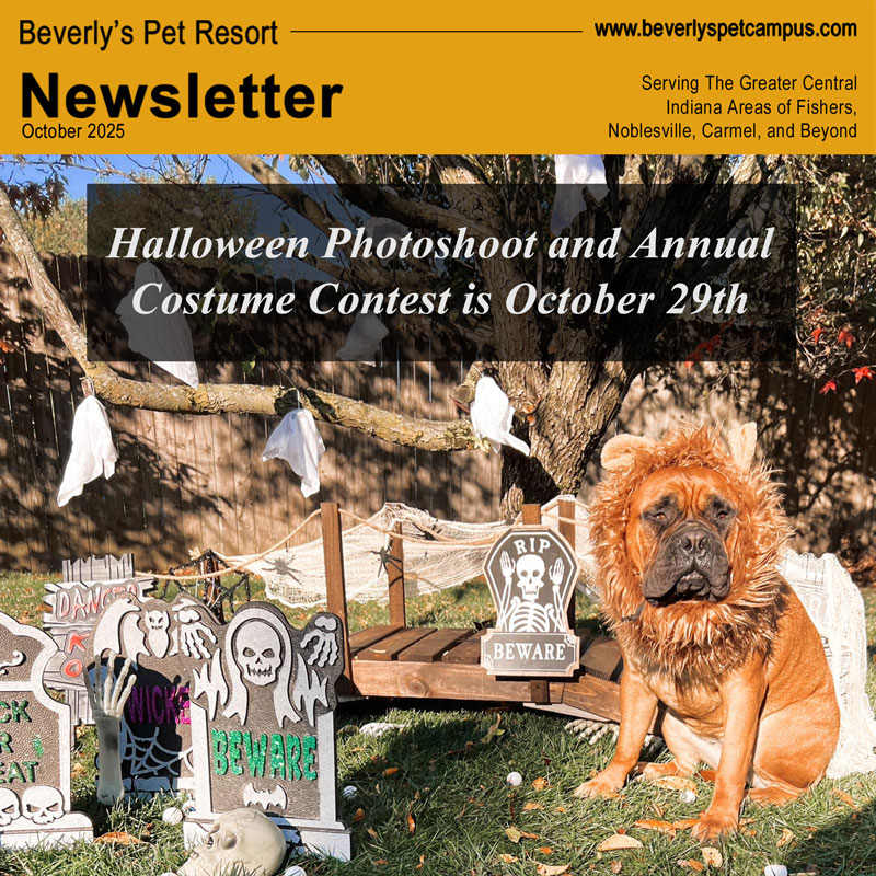 Halloween Photoshoot & Annual Costume Contest is October&nbsp;29th