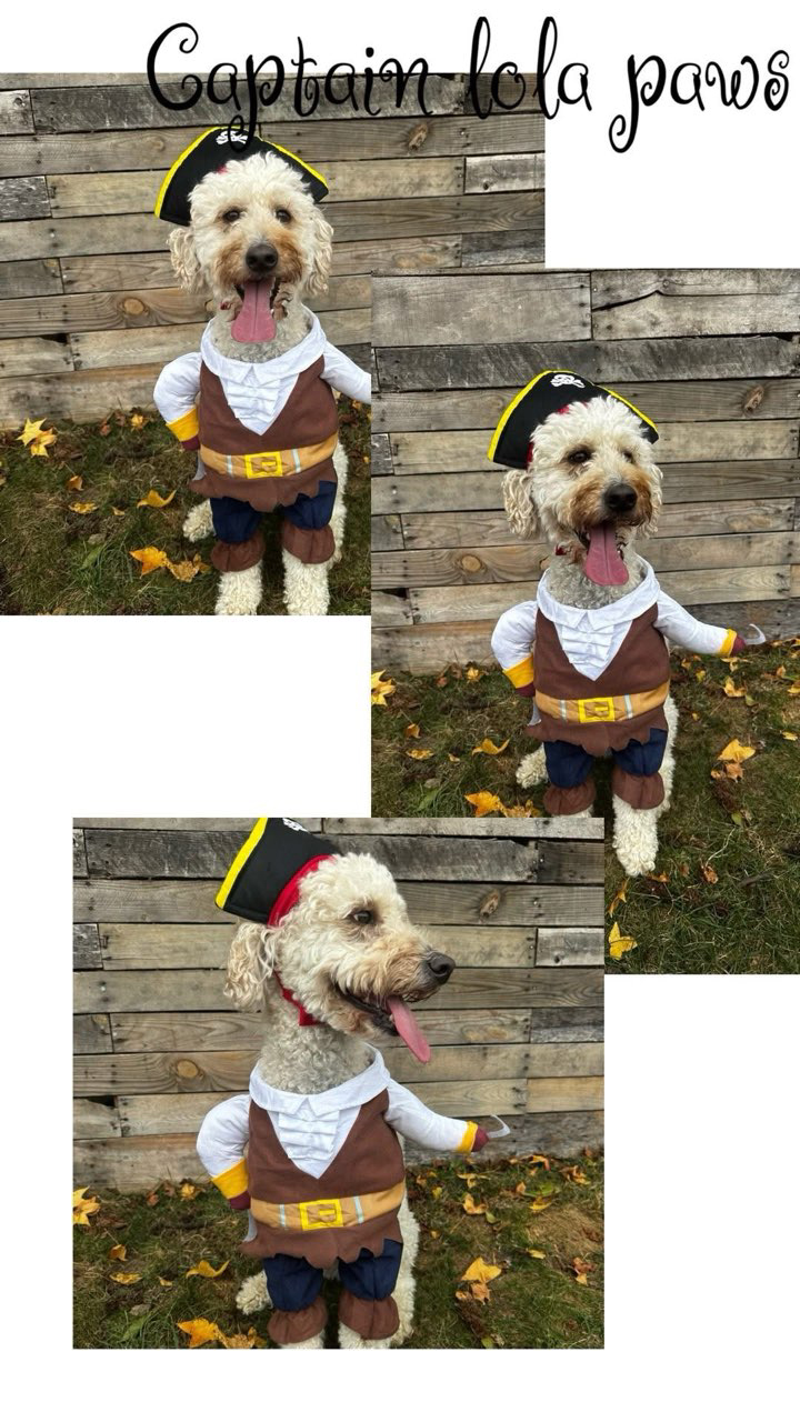 Captain Lola Paws - 2nd Place in Costume Contest
