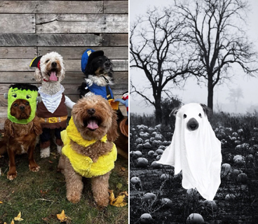 Halloween Photoshoot & Costume Contest